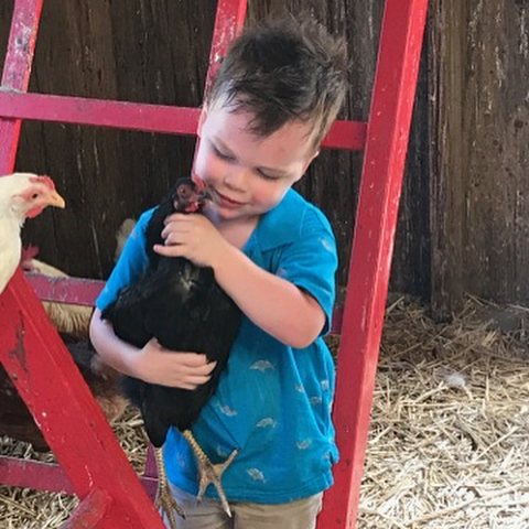 The way he looks at chickens... ??? ? ?