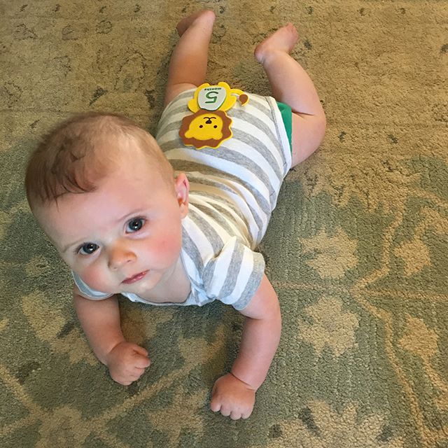Little one is 5 months! He's a rolling machine, attempting to start crawling (mostly just spinning in circles on his belly), started eating solids (bananas ??, peas 👎?), and had a middle-of-the-night trip to the ER (all is well now). I'm not going to lie and say that babies are easy for me... in fact, they're incredibly hard. (I have way more to say about this, but I think that suffices.) But his precious little self is worth it.